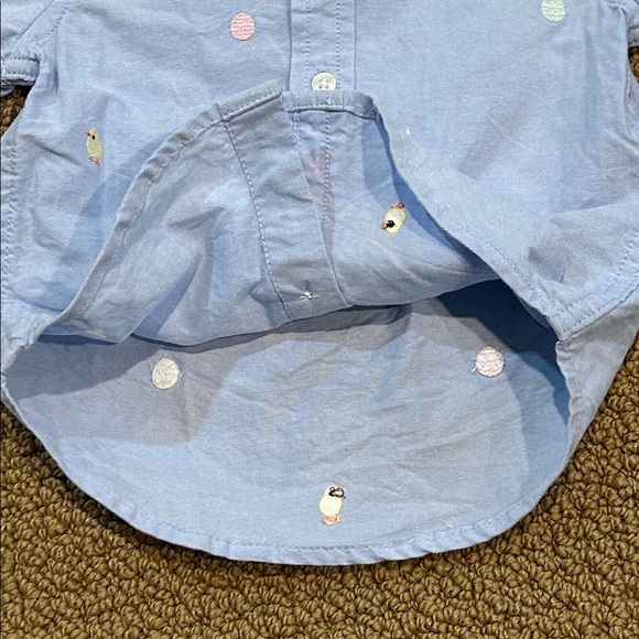Janie and Jack The Embroidered Oxford Shirt Columbo Blue Bunny 12-18 mos Easter - Picture 9 of 15